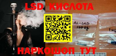 прущие грибы Пыть-Ях