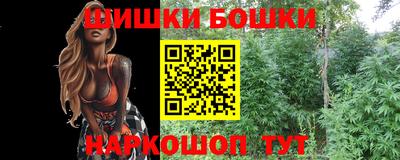 прущие грибы Пыть-Ях